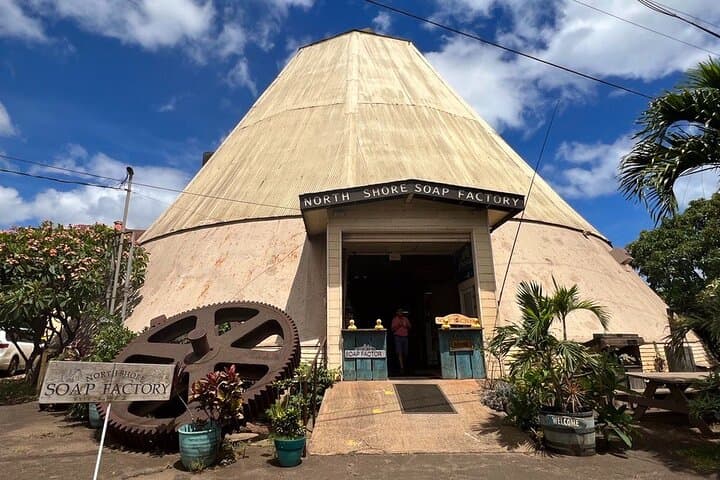 North Shore Oahu Day Tour: Waterfalls, Turtles, Dole & Haleiwa in One Day photo 6