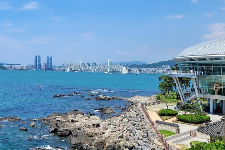Busan Full-Day Private Tour — Customizable English-Language City Experience