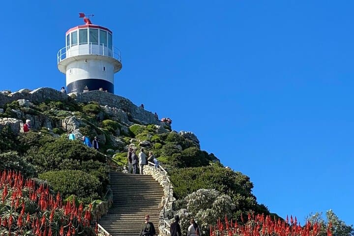 Best of Cape: Cape Point, Penguins & Table Mountain — Full-Day Private Tour from Cape Town photo 6