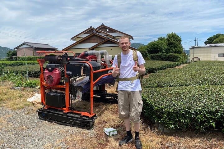 Hands-On Tea Picking in Shizuoka: Private Farm & Factory Tour photo 4