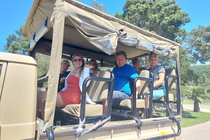 East London Private Beach Lodge & Giraffe Interaction for Cruise Guests photo 3