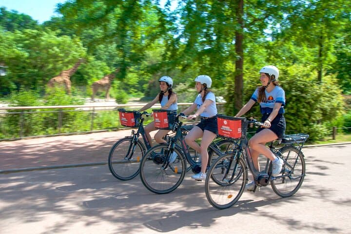 E‑Bike Highlights of Lyon: Tête d'Or, Presqu'île & Saône Shores in 3 Hours photo 4