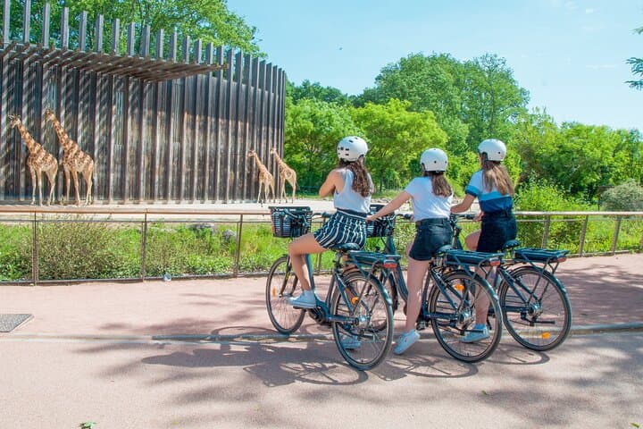 E‑Bike Highlights of Lyon: Tête d'Or, Presqu'île & Saône Shores in 3 Hours photo 5