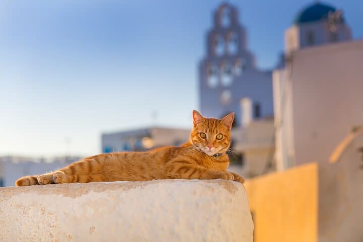 Private Full-Day Santorini Tour: Caldera Views, Volcano Boat & Akrotiri photo 4