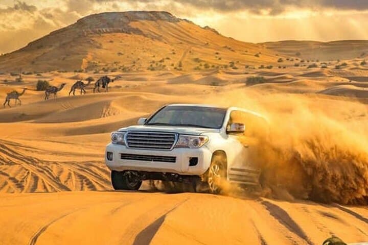 Morning Dubai Desert Safari: Private 4x4 Dune Bashing, Camel Ride & Sandboarding photo 1