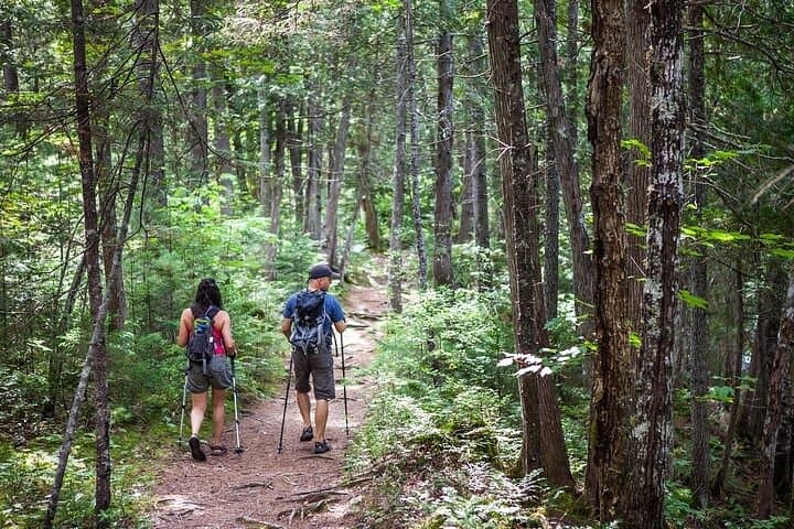 Canoe-Hike Day Trip from Montreal: Paddle L'Assomption River & Walk the Sentier National photo 6