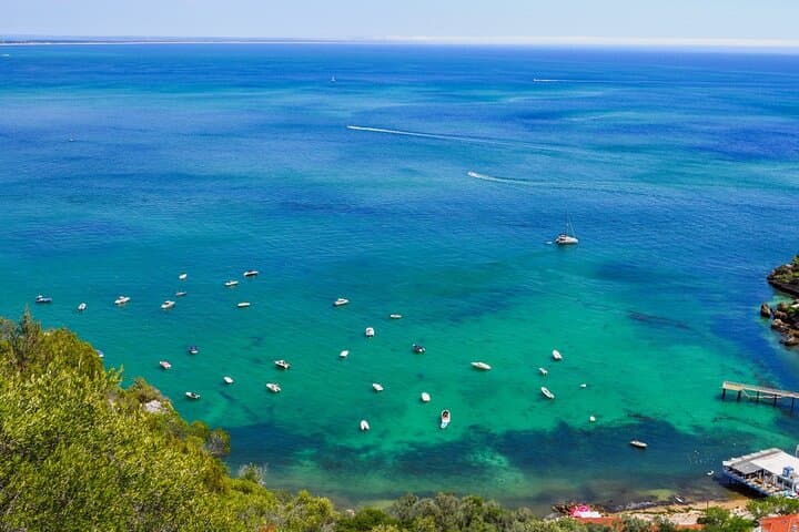 Full-Day Arrábida Private Tour from Lisbon: Portinho Beach, Setúbal Market & Winery photo 2