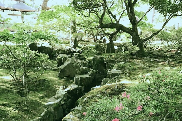 Virtual Kyoto Walking Tour — Kiyomizu, Arashiyama Bamboo & Manga Museum photo 3