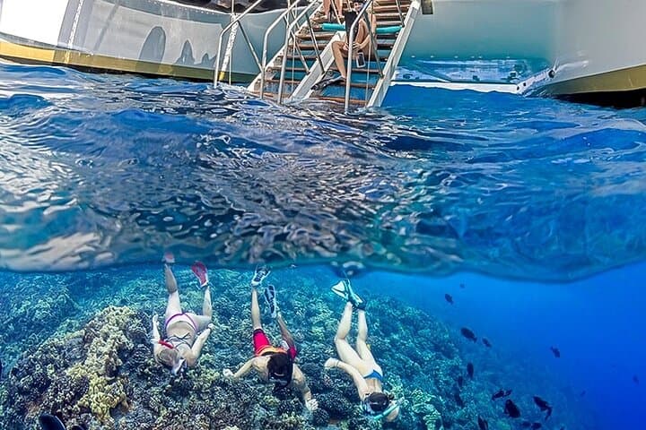 Molokini Deluxe: Half-Day Snorkel, Sail & Island Lunch from Ma'alaea Harbor photo 3