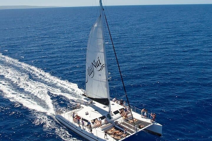 Molokini Deluxe: Half-Day Snorkel, Sail & Island Lunch from Ma'alaea Harbor photo 5