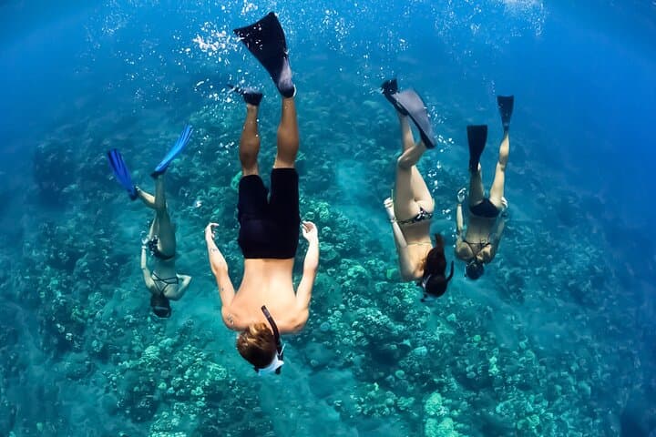 Turtles & Tacos: Maui Luxury Catamaran Snorkel and Taco Bar photo 2