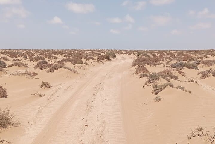 Agadir Sahara Dunes & Souss-Massa National Park Day Trip with Local Lunch photo 2