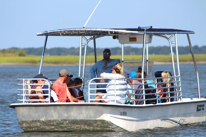 Charleston Eco Boat Cruise to Morris Island Lighthouse — Dolphins, Shells & Coastal Ecology photo 6