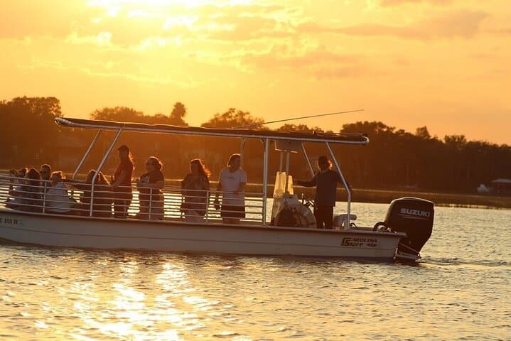 Charleston Eco Boat Cruise to Morris Island Lighthouse — Dolphins, Shells & Coastal Ecology photo 5