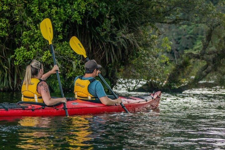 Starlight Kayak & Glowworm Soak on Lake Rotoiti — Rotorua Evening Tour photo 4