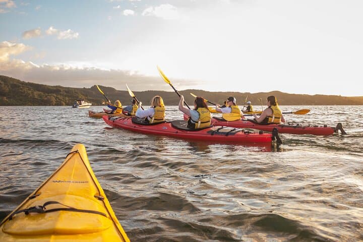 Starlight Kayak & Glowworm Soak on Lake Rotoiti — Rotorua Evening Tour photo 5