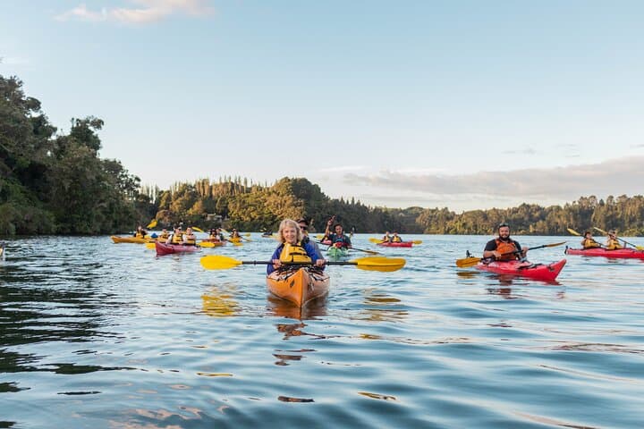 Starlight Kayak & Glowworm Soak on Lake Rotoiti — Rotorua Evening Tour photo 6