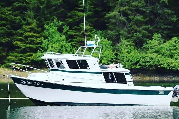Sitka Whale Watching: Best Small-Boat Wildlife Excursion in Sitka Sound photo 4