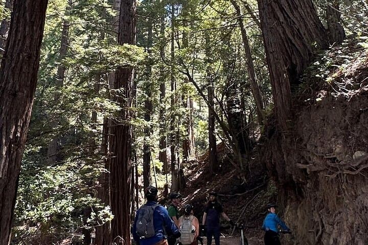 Big Sur Old Coast Road E‑Bike Tour from Andrew Molera photo 5