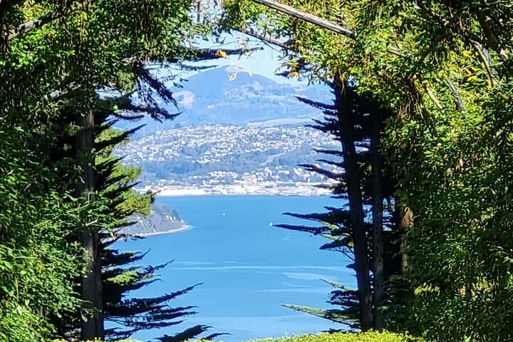 Dunedin City Highlights and Larnach Castle Tour — Otago Peninsula Views photo 4