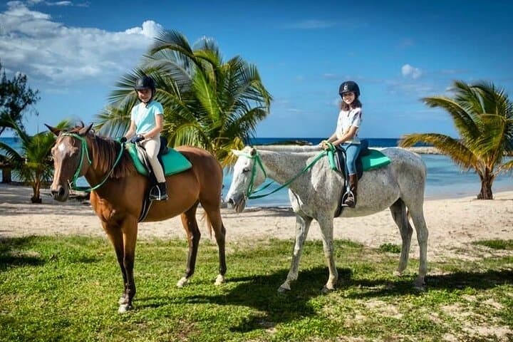 Horseback Ride and Swim in Montego Bay, Jamaica photo 4