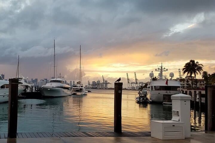 Miami Skyline Sunset Cruise on Biscayne Bay photo 6