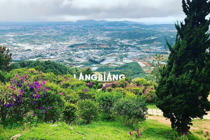 Full-Day Trekking on Langbiang Mountain — Da Lat’s Three-Peak Hike photo 2