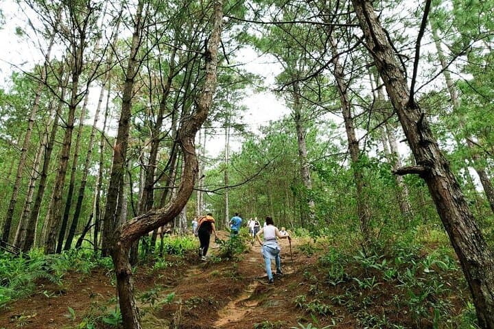 Full-Day Trekking on Langbiang Mountain — Da Lat’s Three-Peak Hike photo 3