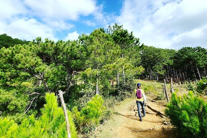 Full-Day Trekking on Langbiang Mountain — Da Lat’s Three-Peak Hike