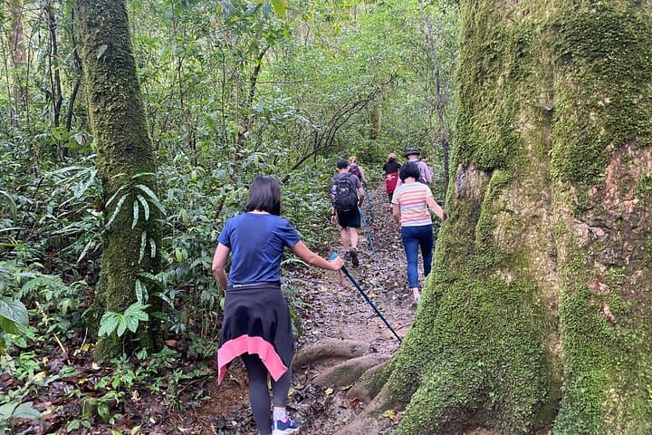 Full-Day Trekking on Langbiang Mountain — Da Lat’s Three-Peak Hike photo 4