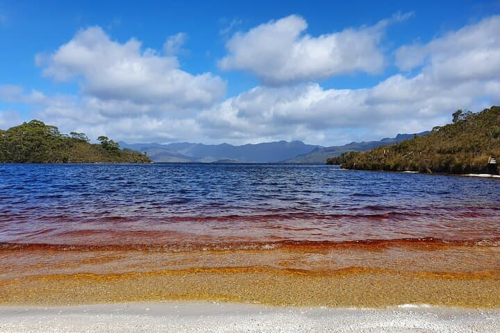 Gordon Dam & Lake Pedder Day Tour from Hobart — Tasmanian Wilderness Experience photo 2