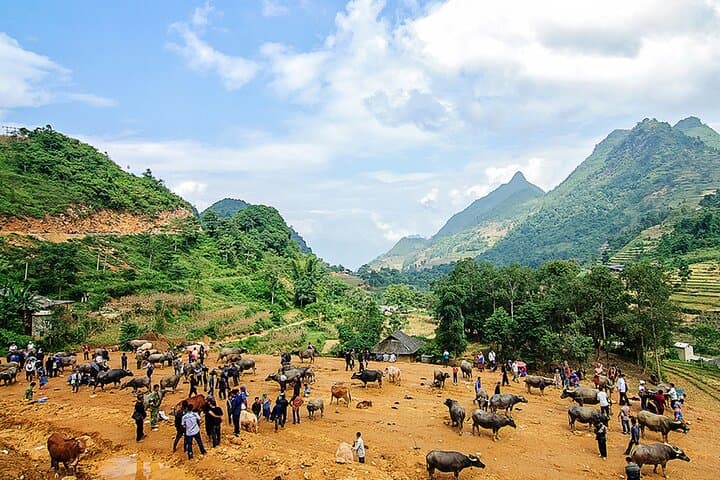 Can Cau & Bac Ha Markets: A Private Saturday Market Tour from Sapa photo 2