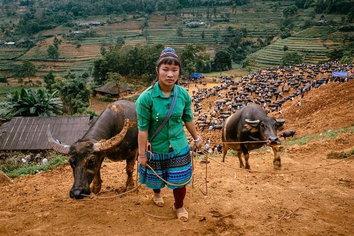 Can Cau & Bac Ha Markets: A Private Saturday Market Tour from Sapa photo 4