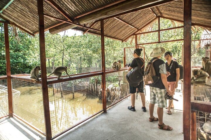 Private Can Gio Mangrove Day Trip from Ho Chi Minh City photo 4