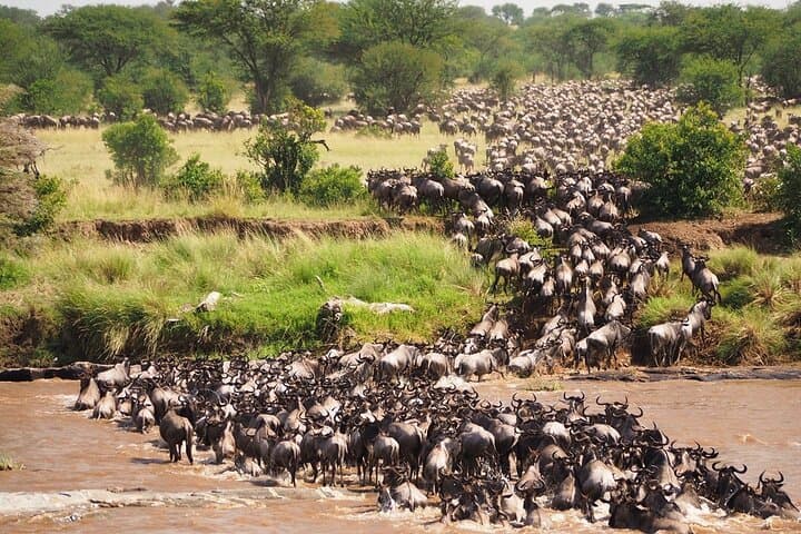 Ndutu Wildebeest Calving Safari: 6-Day Southern Serengeti Migration Experience