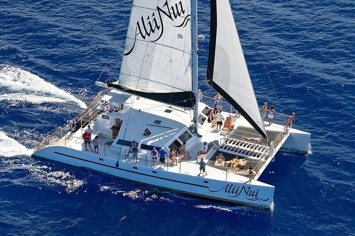Luxury Catamaran Whale Watch: Maui Humpback Encounter from Ma'alaea Harbor photo 3
