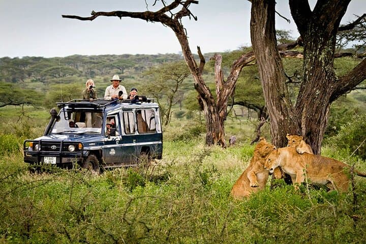 5-Day Private Wildebeest Migration Safari: Tarangire, Ngorongoro & Serengeti photo 4