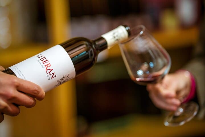 Ston & Pelješac Oyster and Mussel Tasting with Wine: Bay-to-Table Adriatic Experience photo 6