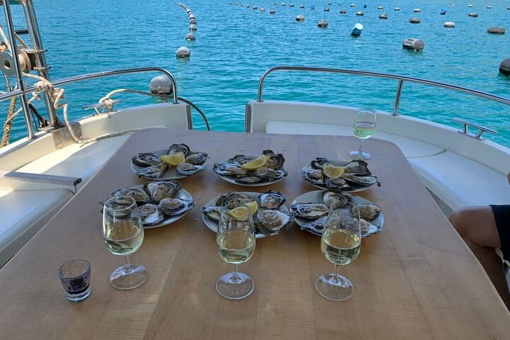 Ston & Pelješac Oyster and Mussel Tasting with Wine: Bay-to-Table Adriatic Experience photo 5