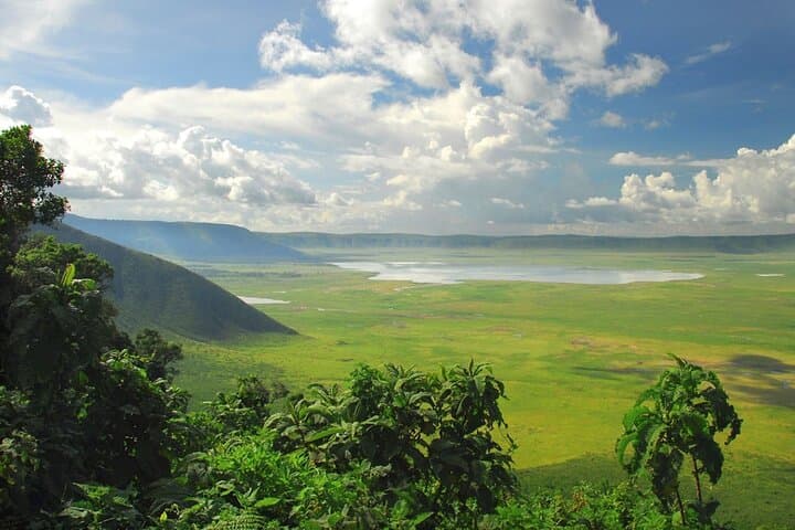 One-Day Ngorongoro Crater Safari — Big Five Game Drive from Arusha photo 2