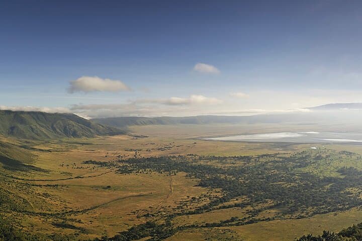 One-Day Ngorongoro Crater Safari — Big Five Game Drive from Arusha