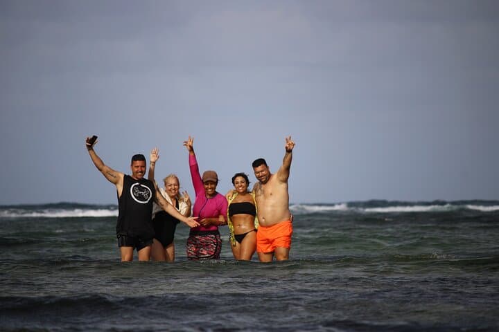 Sal Island Full-Day: Buracona Blue Eye, Salinas & Lemon Shark Walk photo 3