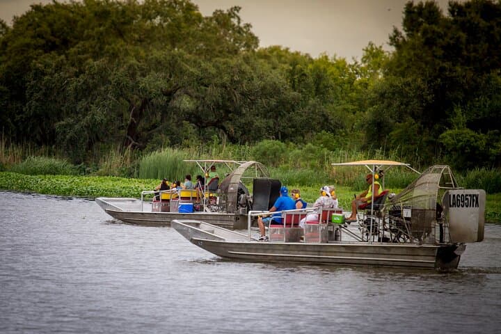 Private Half-Day Airboat Swamp Tour from New Orleans photo 3