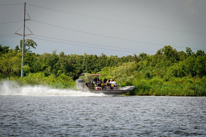 Private Half-Day Airboat Swamp Tour from New Orleans photo 4
