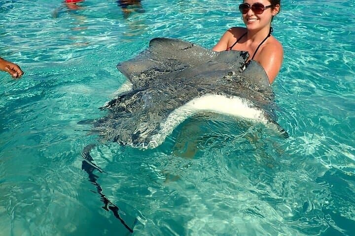 Stingrays and Starfish Point Tour — Grand Cayman Sandbar Excursion photo 2