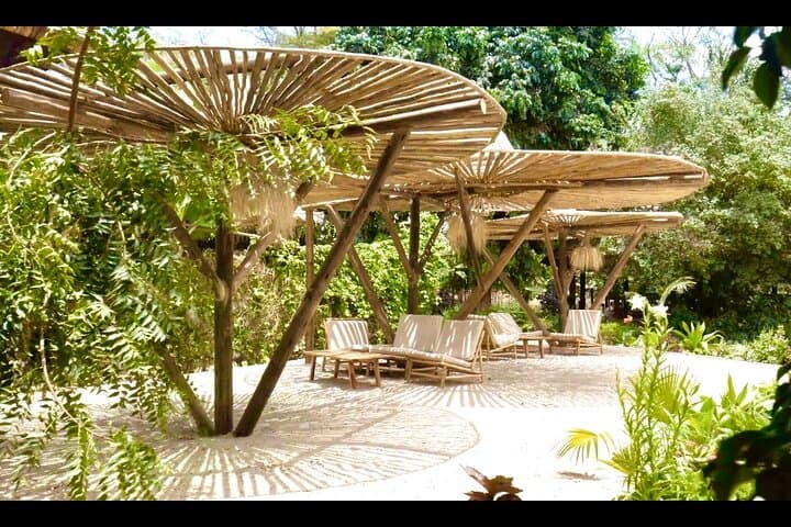 2-Day Private Safari from Zanzibar: Tarangire & Ngorongoro with Flights Included photo 2
