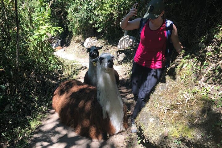 Salkantay Trek to Machu Picchu: 5-Day High-Altitude Andean Journey photo 4
