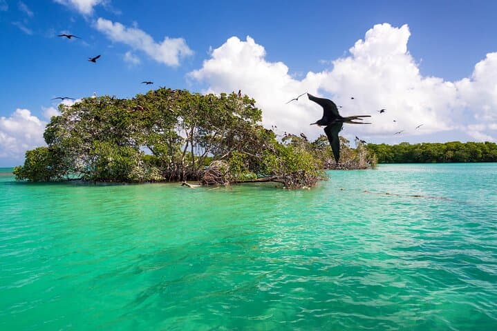 Discover Isla Holbox, Isla Pasión & Yalahau Cenote — Full-Day Island Tour photo 3