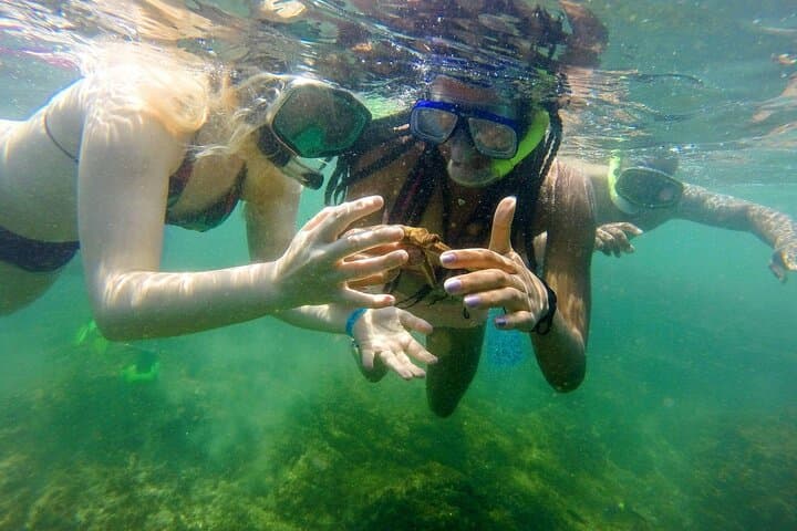 Isla Chora Kayak & Snorkel — Samara Day Trip on Costa Rica’s Pacific photo 4