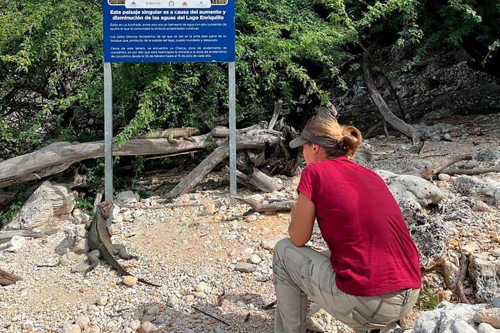 Crocodile Watching at Lago Enriquillo: Full-Day All-Inclusive Wildlife Safari photo 2